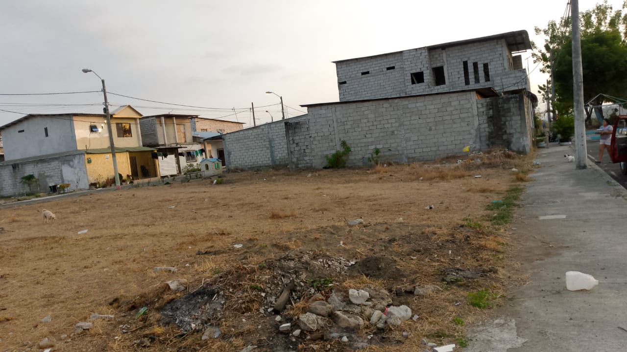 Imagen 4